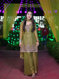 Heavy Two Tone Fandy Silk with Heavy Embroidery Sequins Work Salwar Kameez