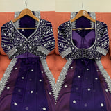 Beautiful Designer Saree on Soft Net Fabric with Sequence work and blouse