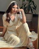 Real Mirror Work Gown With Embroidery And Chikankari Work