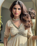 Real Mirror Work Gown With Embroidery And Chikankari Work
