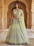 Butterfly Net with Foil Mirror Sequins Work With Cancan & Canvas Patta Lehenga Choli