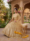 Most Beautiful Latest Designer Premium Soft Net Lehenga Choli With Coding Work And Heavy Sequins Work