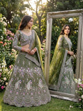 Soft Butterfly Net with Coding Sequins Work With Cancan & Canvas Patta Lehenga Choli