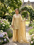 New Designer Jimmy Choo Palzoo Set Intricate Thread with Sequnce work