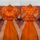 Designer Saree on Heavy Organza Silk Fabric with Thread & Sequence work