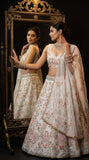 Tabby Silk with Pearl Embroidery Sequins Work Beautiful Lehenga Choli