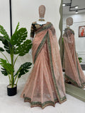 Beautiful Designer Saree on Twil Net Fabric with Thread & Sequence work