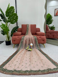 Beautiful Designer Saree on Twil Net Fabric with Thread & Sequence work