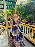 Premium Quality Star Georgette with Embroidery Sequins Work With Cancan & Canvas Patta Lehenga Choli