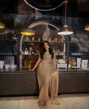 Designer Premium Butterfly Soft Net Real Mirror Work Saree