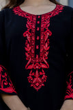 Faux Georgette with beautiful Embroidery Work Stitched Salwar Kameez