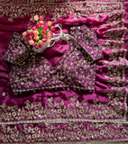 Soft padding two tone Fandy chiffon Saree with heavy embroidery sequence Work