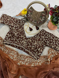 Soft padding two tone Fandy chiffon Saree with heavy embroidery sequence Work