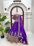 Vichitra silk with Coding dori with thread with Sequence work Beautiful Lehenga Choli