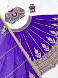 Vichitra silk with Coding dori with thread with Sequence work Beautiful Lehenga Choli