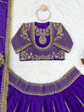 Vichitra silk with Coding dori with thread with Sequence work Beautiful Lehenga Choli
