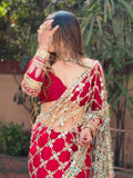 Fendy Silk with Real Mirror Work With Lace Border Beautiful Saree