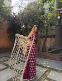 Fendy Silk with Real Mirror Work With Lace Border Beautiful Saree