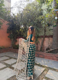 Fendy Silk with Real Mirror Work With Lace Border Beautiful Saree