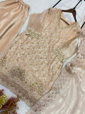FENDY WITH BEADS WITH SEQUENCE EMBROIDERY & CUT WORK SALWAR KAMEEZ