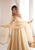 Doremon Crush With Real Mirror work Lace Border With Fully Flair Salwar Kameez