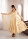 Doremon Crush With Real Mirror work Lace Border With Fully Flair Salwar Kameez