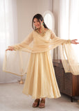 Doremon Crush With Real Mirror work Lace Border With Fully Flair Salwar Kameez