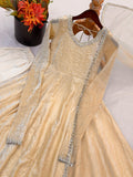 Doremon Crush With Real Mirror work Lace Border With Fully Flair Salwar Kameez