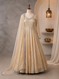 Doremon Crush With Real Mirror work Lace Border With Fully Flair Salwar Kameez