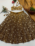 Elegant 3mm Embroidered Sequence Lehenga Choli With Three Piece Set