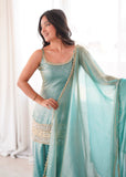 Doremon Crush With Real Mirror And Embroidered Sequence Work Salwar Kameez