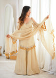 Doremon Crush With Real Mirror work Lace Border Salwar Kameez