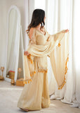 Doremon Crush With Real Mirror work Lace Border Salwar Kameez