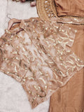 Chinnon Silk with Multi-Thread Embroidery Sequence Work Beautiful Saree