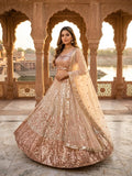 Premium Butterfly Soft Net Lehenga Embellished With Beautiful Dual Sequins Work