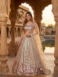 Premium Butterfly Soft Net Lehenga Embellished With Beautiful Dual Sequins Work