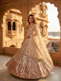 Premium Butterfly Soft Net Lehenga Embellished With Beautiful Dual Sequins Work