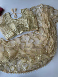 Heavy 5MM Multy & Sequins Embroidery work Beautiful Saree