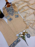 Salsa Silk with Heavy Embroidery with Sequence Work Salwar Kameez
