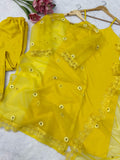 Soft Nylon Organza with Thread work with Fancy Lace Beautiful Salwar Kameez