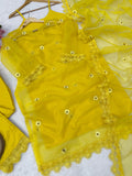 Soft Nylon Organza with Thread work with Fancy Lace Beautiful Salwar Kameez