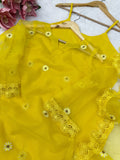 Soft Nylon Organza with Thread work with Fancy Lace Beautiful Salwar Kameez