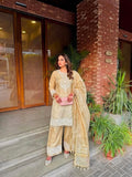 NewDesigner Party Wear Look Pure Dual Ton Banarasi Silk Top Plazzo & Dupatta Set