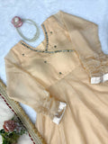 Tabby organza Silk with Original Mirror Hand Work with gotta Patti lace Salwar Kameez