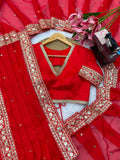 Tibby Silk with Intricate Thread With Sequence Work Beautiful Saree