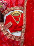 Tibby Silk with Intricate Thread With Sequence Work Beautiful Saree
