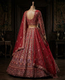 4 meter flared Butterfly Net Lehenga Choli Exceptional Quality with Can-Can and Canvas Layer