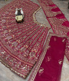 4 meter flared Butterfly Net Lehenga Choli Exceptional Quality with Can-Can and Canvas Layer