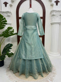 Heavy Salsa Butti Top Blouse with Lehenga Set
