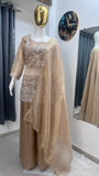 HEAVY GOLD CRUSH WITH EMBROIDERY SEQUENCE WORK SALWAR KAMEEZ
